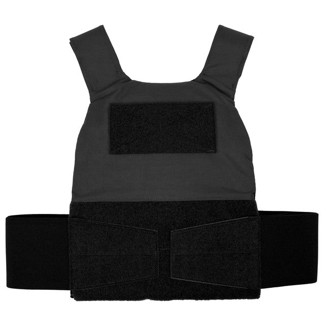 Reduced Visibility Plate Carrier