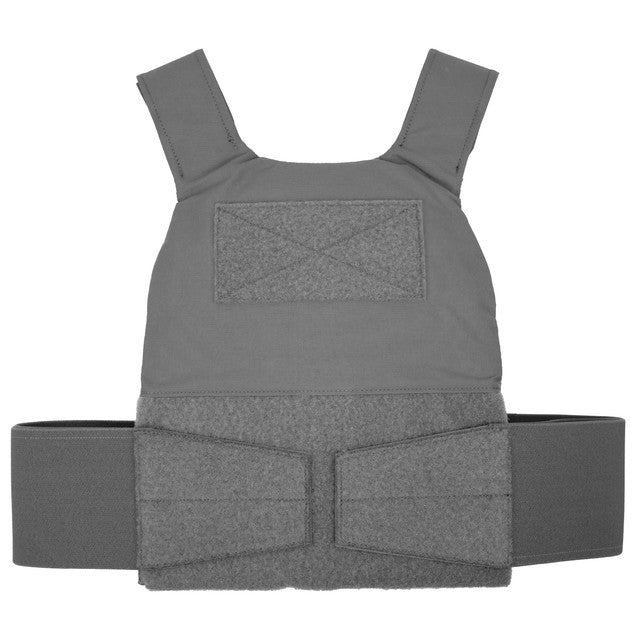 Reduced Visibility Plate Carrier