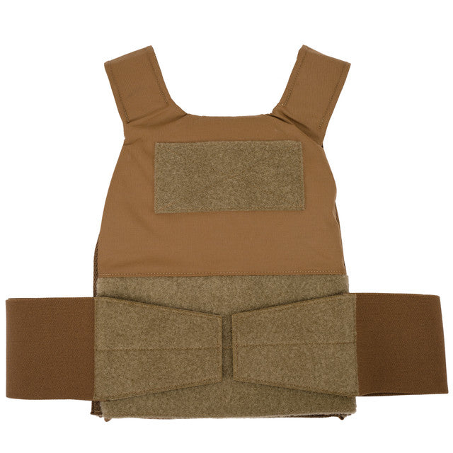 Reduced Visibility Plate Carrier